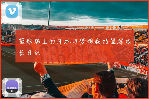 篮球场上的汗水与梦想我的篮球成长日记
