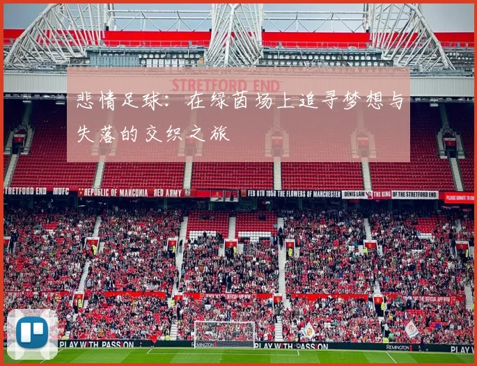 悲情足球：在绿茵场上追寻梦想与失落的交织之旅
