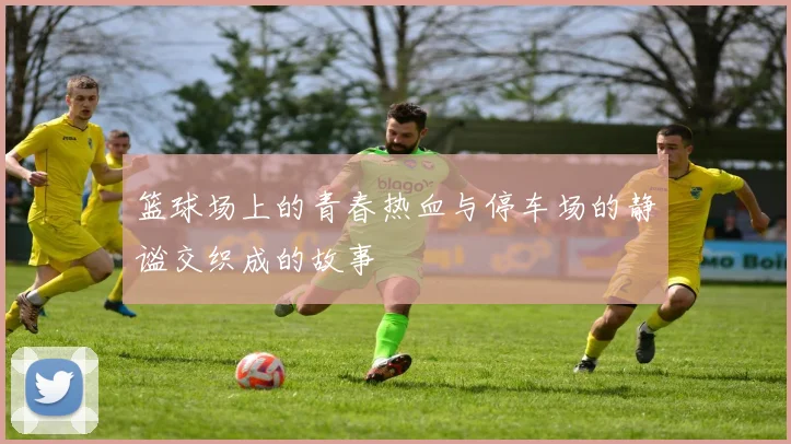 篮球场上的青春热血与停车场的静谧交织成的故事