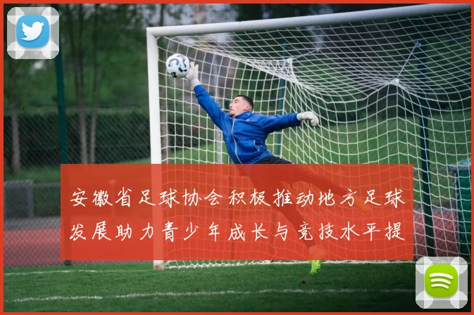 安徽省足球协会积极推动地方足球发展助力青少年成长与竞技水平提升