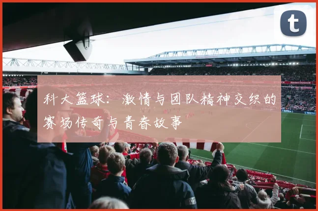 科大篮球：激情与团队精神交织的赛场传奇与青春故事