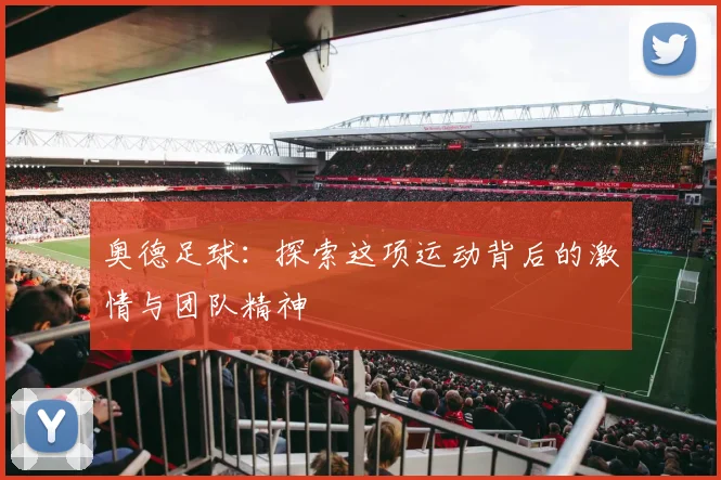 奥德足球：探索这项运动背后的激情与团队精神