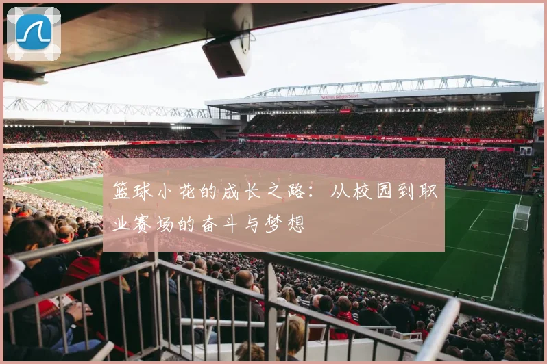 篮球小花的成长之路：从校园到职业赛场的奋斗与梦想